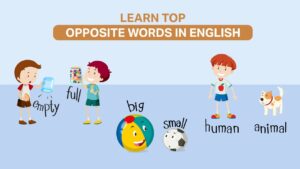 Read more about the article Learn Top Opposite Words in English