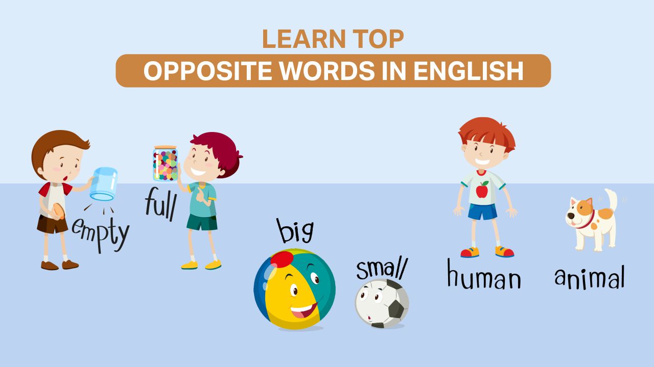 Read more about the article Learn Top Opposite Words in English